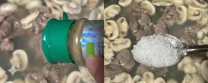 5 Calcium Rich Soup Recipes for Growing Children and Senior Bone Health - image 0