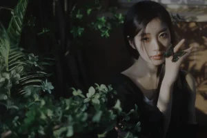 Creative Photography: YiTuYu Art Language Vol.10163 Mei Lu Zi Series - image 5