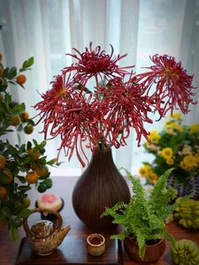 Master the Art of Ancient Chrysanthemums: Stunning Floral Tips for a Long-Lasting Lunar New Year - image 6