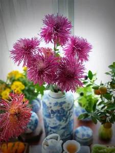 Master the Art of Ancient Chrysanthemums: Stunning Floral Tips for a Long-Lasting Lunar New Year - image 8