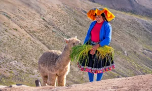 Exploring the Vibrant Rainbow Mountain: A Visual Journey in Peru - image 10