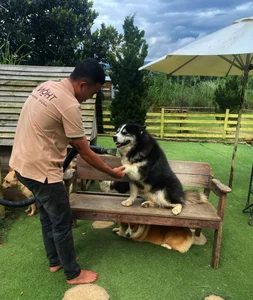 Pet Lovers' Paradise: Exploring the Popular Dog Farms in Da Lat - image 0