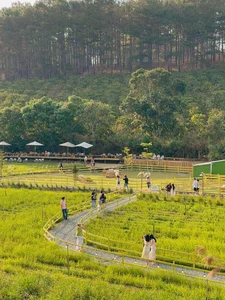 Pet Lovers' Paradise: Exploring the Popular Dog Farms in Da Lat - image 4