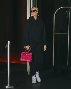 Luxury Hermès Handbags: How Top WAGs Style the World's Most Expensive Accessories - image 3