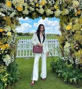 Luxury Hermès Handbags: How Top WAGs Style the World's Most Expensive Accessories - image 6