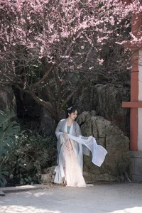 Modern Aesthetic and Style: Shen Shi Si in Art Language Vol.6489 - image 13
