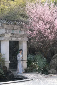 Modern Aesthetic and Style: Shen Shi Si in Art Language Vol.6489 - image 12