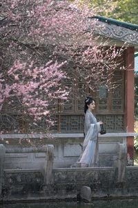 Modern Aesthetic and Style: Shen Shi Si in Art Language Vol.6489 - image 17