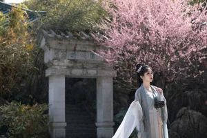 Modern Aesthetic and Style: Shen Shi Si in Art Language Vol.6489 - image 9