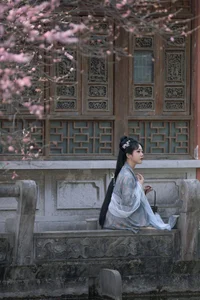 Modern Aesthetic and Style: Shen Shi Si in Art Language Vol.6489 - image 15