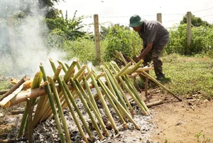 Irresistible Flavors of the Ba Na People in Kbang District - image 4