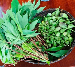 Irresistible Flavors of the Ba Na People in Kbang District - image 1