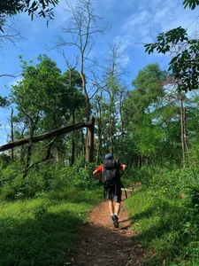 Trekking Ham Lon Mountain: A Guide to Exploring the Roof of Hanoi - image 2