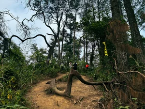 Trekking Ham Lon Mountain: A Guide to Exploring the Roof of Hanoi - image 3