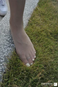 Silk Foot Bento 126: SASA Classic Edition by IESS - image 8