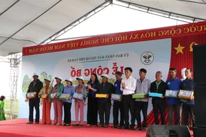 Ancient 500-Year-Old Honey Tree Recognized as Heritage in Quang Nam - image 6