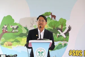 Ancient 500-Year-Old Honey Tree Recognized as Heritage in Quang Nam - image 4