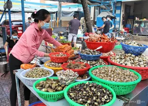 Discovering Ho Chi Minh City: The Complete 2025 Saigon Travel Guide for Modern Explorers - image 0