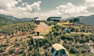 Camping Above the Clouds: A Guide to the Breathtaking Landscapes and Serenity of Vo Uu Hill - image 5