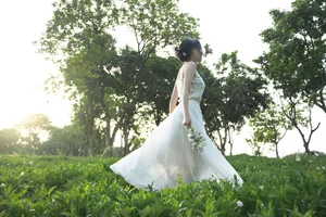YiTuYu Art Language Vol.10450: Featuring Pan Pan in an Artistic Photography Showcase - image 0