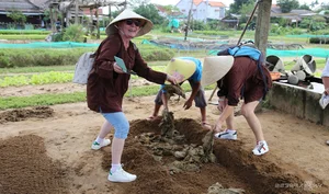 Top 7 Trending Travel Destinations in Vietnam for 2024: A Local Guide - image 4