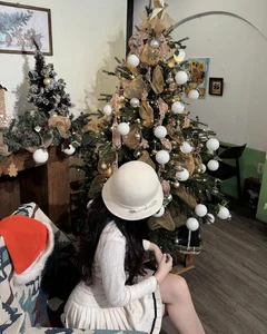 Stunning Vietnamese WAGs Celebrate Christmas: A Glimpse into Their Festive Holiday Style and Glamorous Decorations - image 6