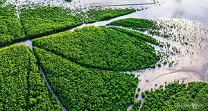 Traveling to the Southernmost Tip: Exploring Cape Ca Mau During the Spring Season - image 1