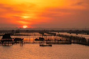 Chasing the Ethereal Sunrise at Tam Giang Lagoon in Central Vietnam - image 2
