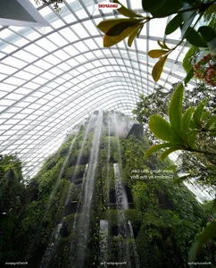 A Poetic Summer in Singapore: Exploring the Garden City’s Seasonal Charm - image 0