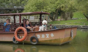 Discovering the Serene Beauty of Taiwan’s Hidden Coastal Escapes This Summer - image 4