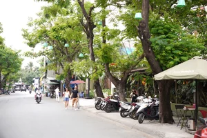 Exploring Ho Chi Minh City: Metro Ben Thanh - Suoi Tien Guide - image 8