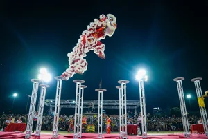 29 Lion Dance Teams Compete in Vibrant Quy Nhon Festival - image 6