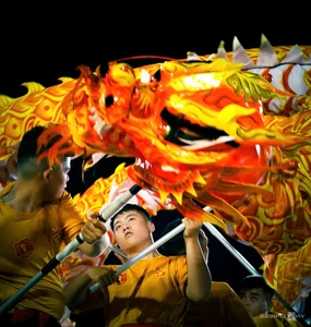 29 Lion Dance Teams Compete in Vibrant Quy Nhon Festival - image 2