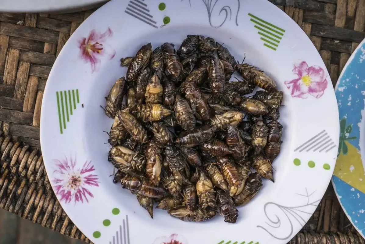 Discover the Irresistible Local Delicacies of Lai Chau Vietnam