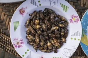 Discover the Irresistible Local Delicacies of Lai Chau Vietnam - image 0