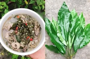 Discover the Irresistible Local Delicacies of Lai Chau Vietnam - image 6