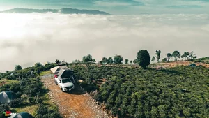Experience the Magic of Cloud Hunting at Doi Vo Uu: The Ultimate Balcony View Over Bao Loc’s Sea of Clouds in Vietnam - image 7