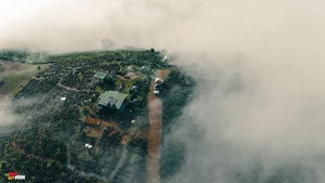 Experience the Magic of Cloud Hunting at Doi Vo Uu: The Ultimate Balcony View Over Bao Loc’s Sea of Clouds in Vietnam - image 2