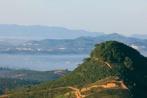 Experience the Magic of Cloud Hunting at Doi Vo Uu: The Ultimate Balcony View Over Bao Loc’s Sea of Clouds in Vietnam - image 3