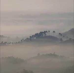 Experience the Magic of Cloud Hunting at Doi Vo Uu: The Ultimate Balcony View Over Bao Loc’s Sea of Clouds in Vietnam - image 1