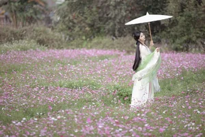 Visual Storytelling in YiTuYu Art Language Vol.6393 Jin Zou Ba - image 8