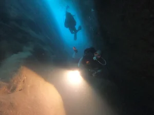 Discovering the Hidden Marine Wonders of Van Phong Bay: A Deep Dive into Biodiversity - image 10