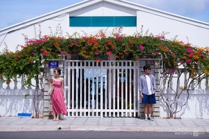 Vibrant Bougainvillea Season in Vung Tau: Exploring the Floral Beauty of Vietnam’s Scenic Coastal City - image 6