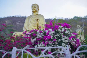 Vibrant Bougainvillea Season in Vung Tau: Exploring the Floral Beauty of Vietnam’s Scenic Coastal City - image 7