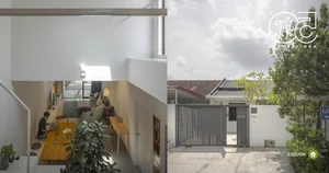 Stunning Townhouse Renovation: From a Cramped Urban Space to a Lush Green Sanctuary - image 6