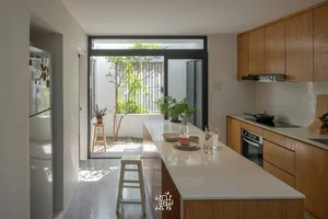 Stunning Townhouse Renovation: From a Cramped Urban Space to a Lush Green Sanctuary - image 3