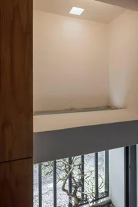 Stunning Townhouse Renovation: From a Cramped Urban Space to a Lush Green Sanctuary - image 8