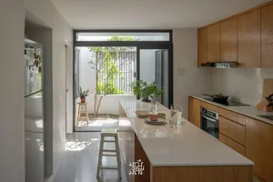 Stunning Townhouse Renovation: From a Cramped Urban Space to a Lush Green Sanctuary - image 9