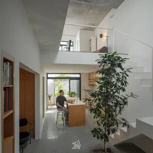 Stunning Townhouse Renovation: From a Cramped Urban Space to a Lush Green Sanctuary - image 2