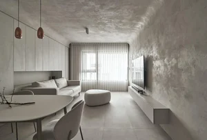 Deep Dive into Minimalist Architecture: The Art of Less is More - image 9